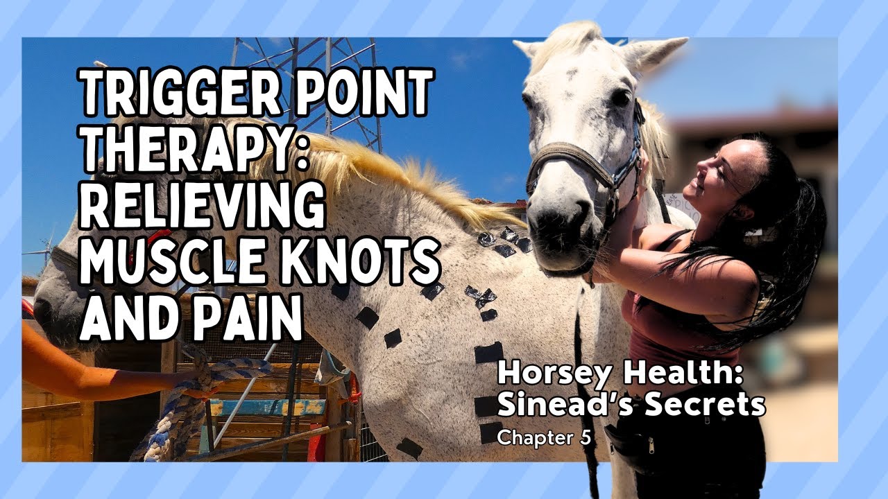 Horsey Health - Sinead's Secrets | Ch. 5 - Trigger Point Therapy: Relieving Muscle Knots and Pain