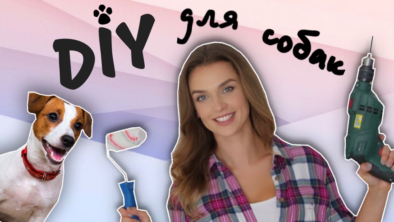 DIY МЕСТО ДЛЯ КОРМЛЕНИЯ СОБАК | ПОДСТАВКА ДЛЯ МИСОК | ОРГАНАЙЗЕР ДЛЯ ЕДЫ