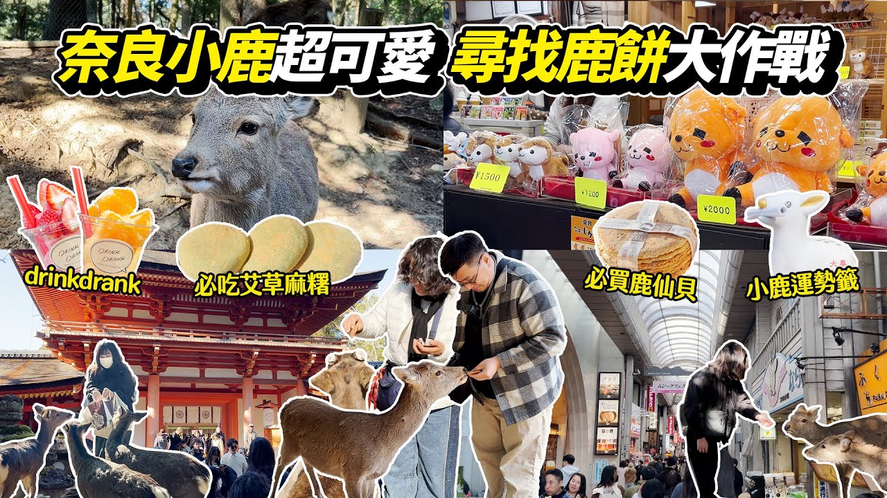 奈良小鹿看到飽｜買不到鹿仙貝怎麼辦！｜東向商店街｜春日大社小鹿運勢籤｜中谷堂美味仙貝現做艾草麻糬｜時尚drinkdrank水果果昔｜京阪神自由行Day6