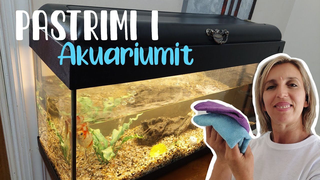 SI TE PASTROJM AKUARIUMIN