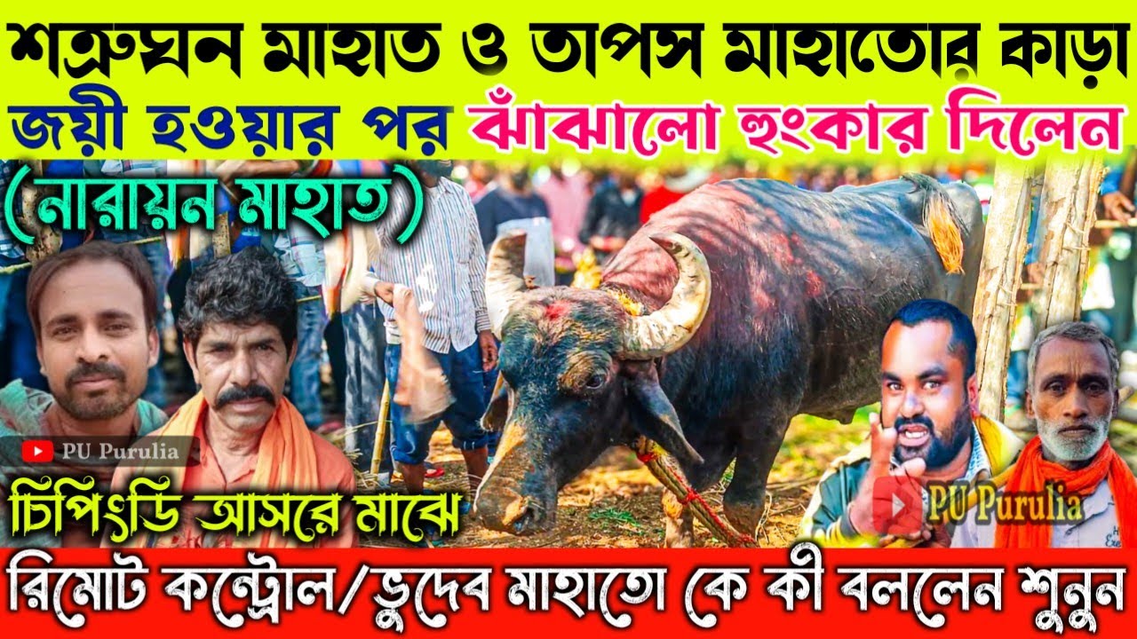 শত্রুঘন মাহাত ও তাপস মাহাতোর কাড়া/চিপিংডি আসরে জয়ী হওয়ার পর ∆নারায়ন মাহাত ঝাঁঝালো হুংকার দিলেন