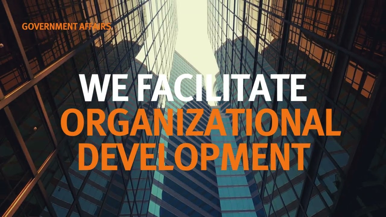 Executive Insight's Government Affairs service offering