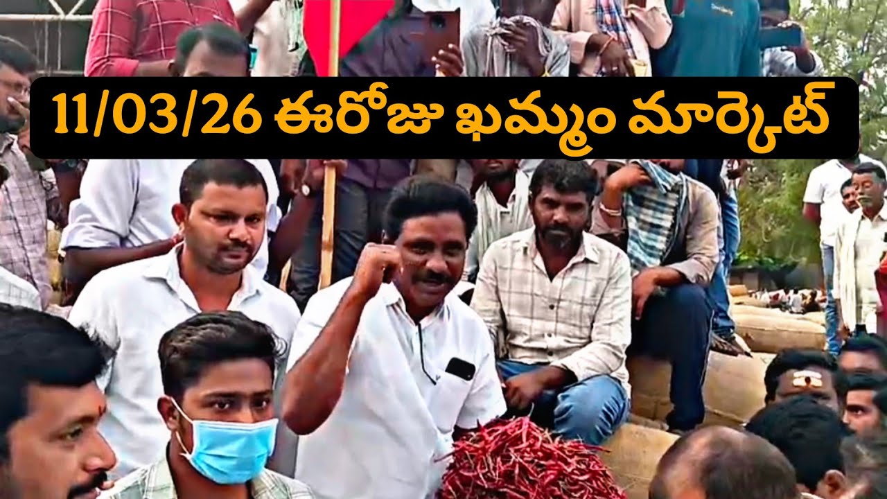 11.03.26 30/-వేల బస్తాలు #ఖమ్మం మార్కెట్ Chilli Prices khammam market yard prices #mirchi #chili