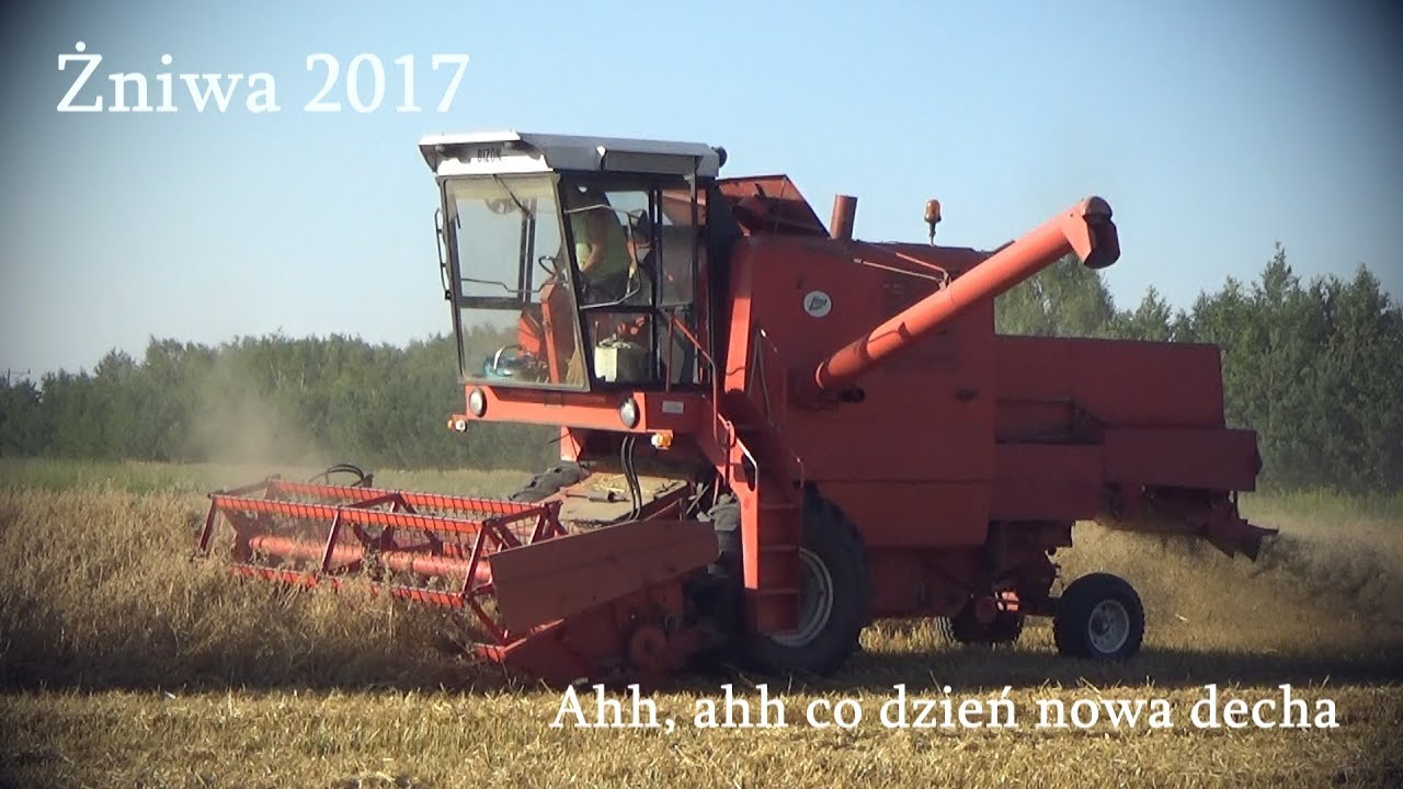 Żniwa 2017 l Disco Polo l Bizon w Upale l Pszenica, Jęczmień, Owies, Pszenżyto
