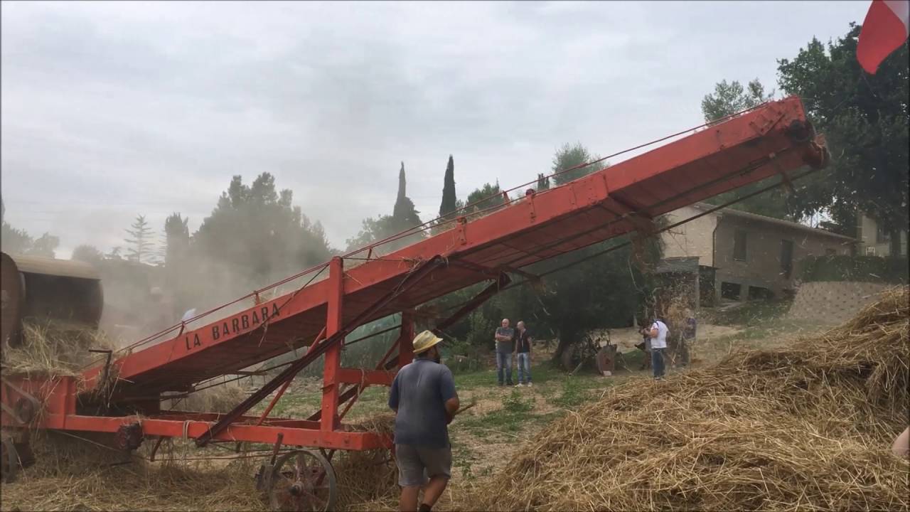 Rievocazione battitura del grano Francavilla d'Ete Via Giardino