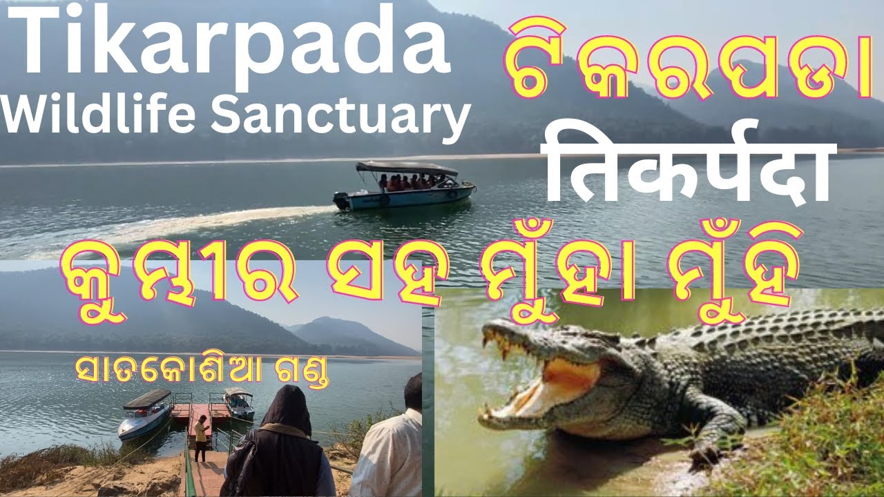 Tikarpada | तिकरपाड़ा | ଟିକରପଡା  || Satakosia Gorge || Crocodile Sanctuary || Anugul, ODISHA