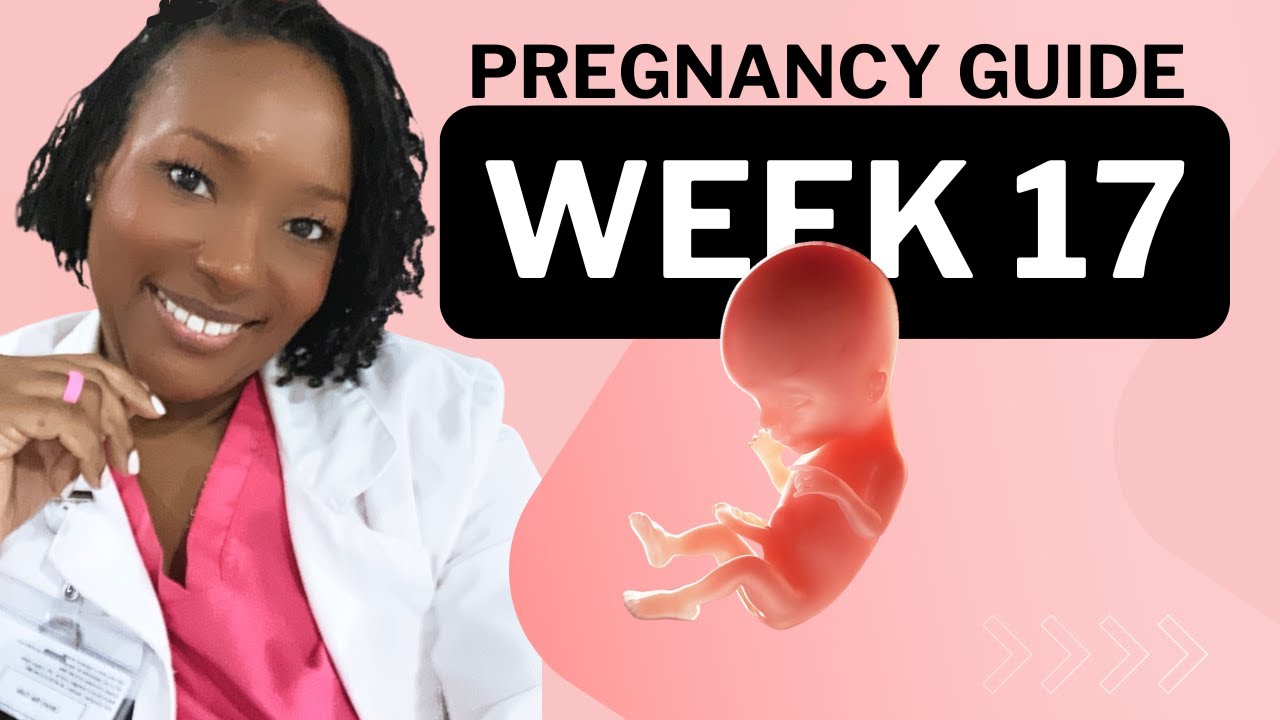 17 Weeks Pregnant: What To Expect