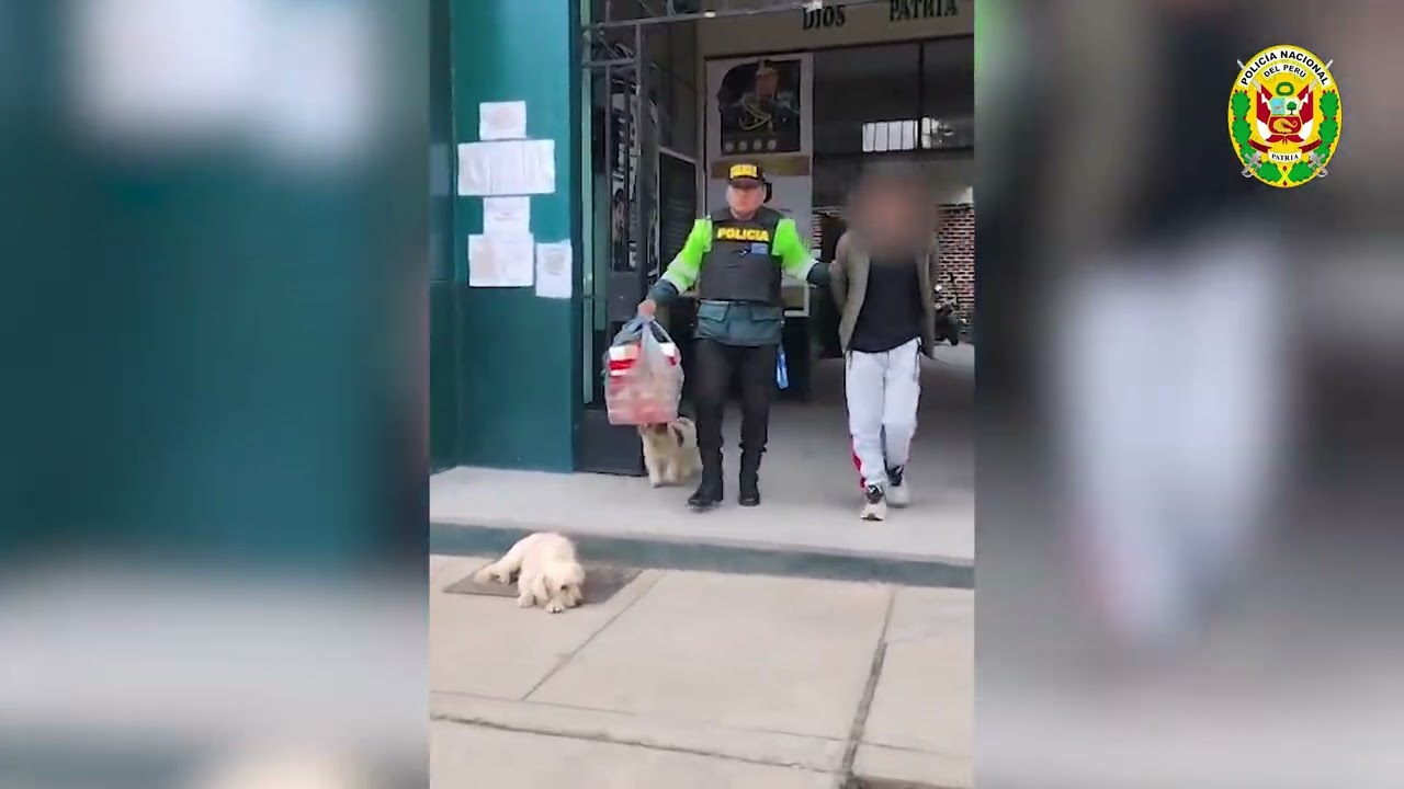 REPORTE POLICIAL - REGIÓN POLICIAL JUNÍN, DOMINGO 15 DE FEBRERO DEL 2026