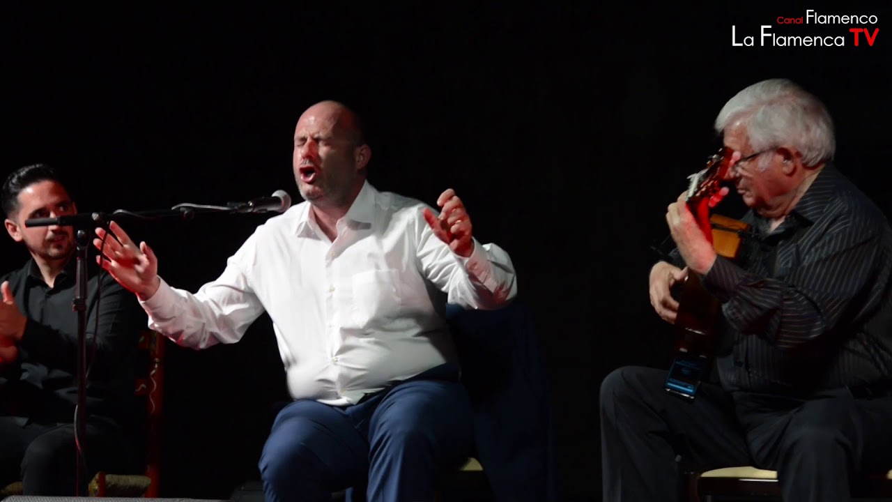 Curro Piñana, bulerías: Semana Flamenca de Cartagena.