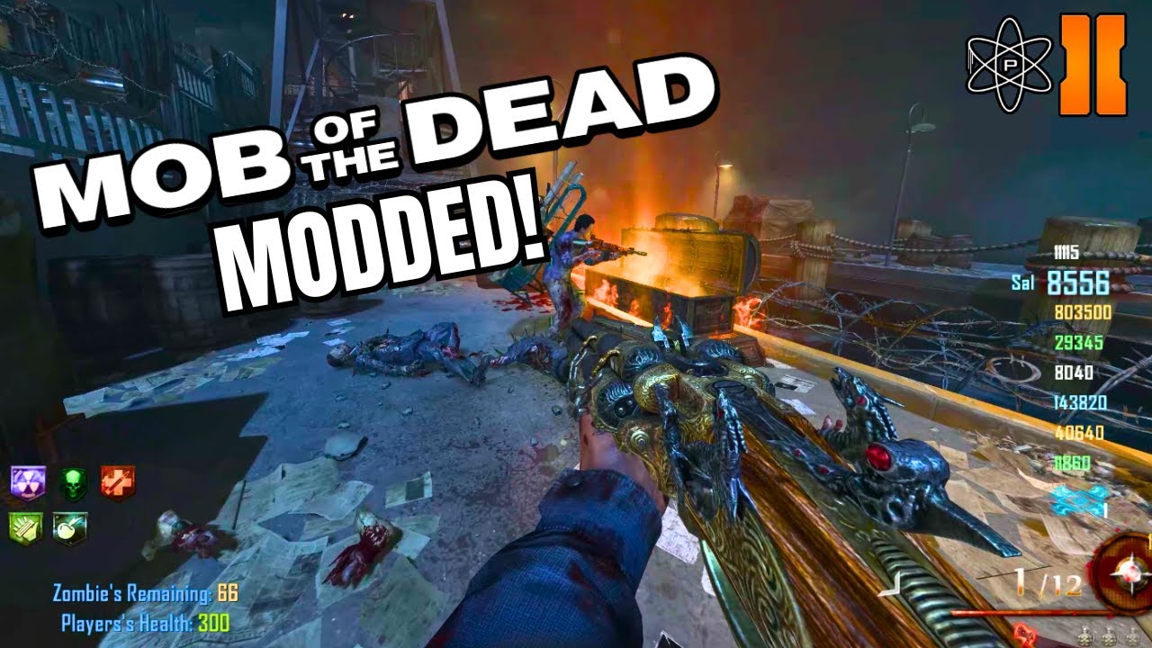 8 PLAYER MOB OF THE DEAD (BO2 Plutonium Zombies)