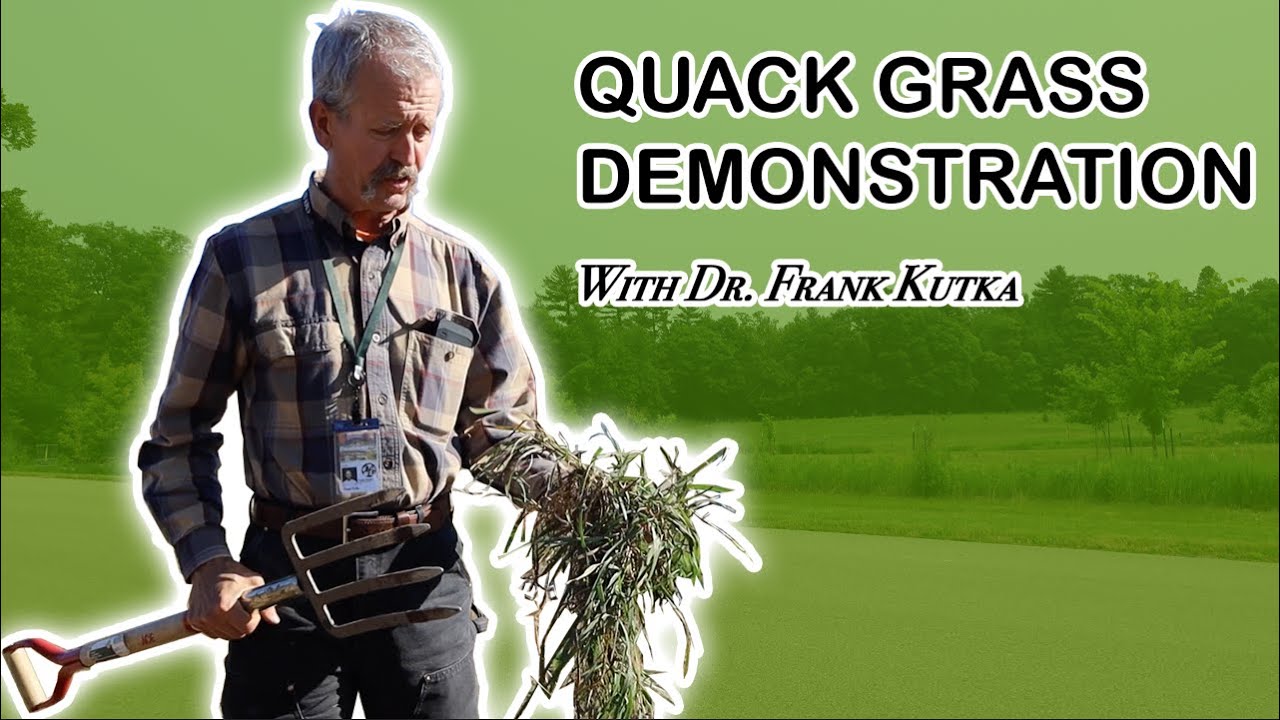 Quack Grass Demonstration with Dr. Frank Kutka