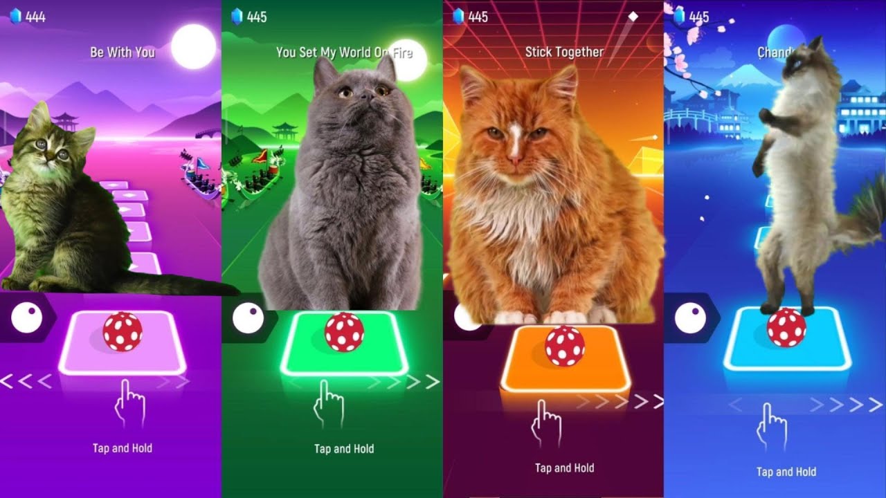 Animals Dancing to Tiles Hop Music