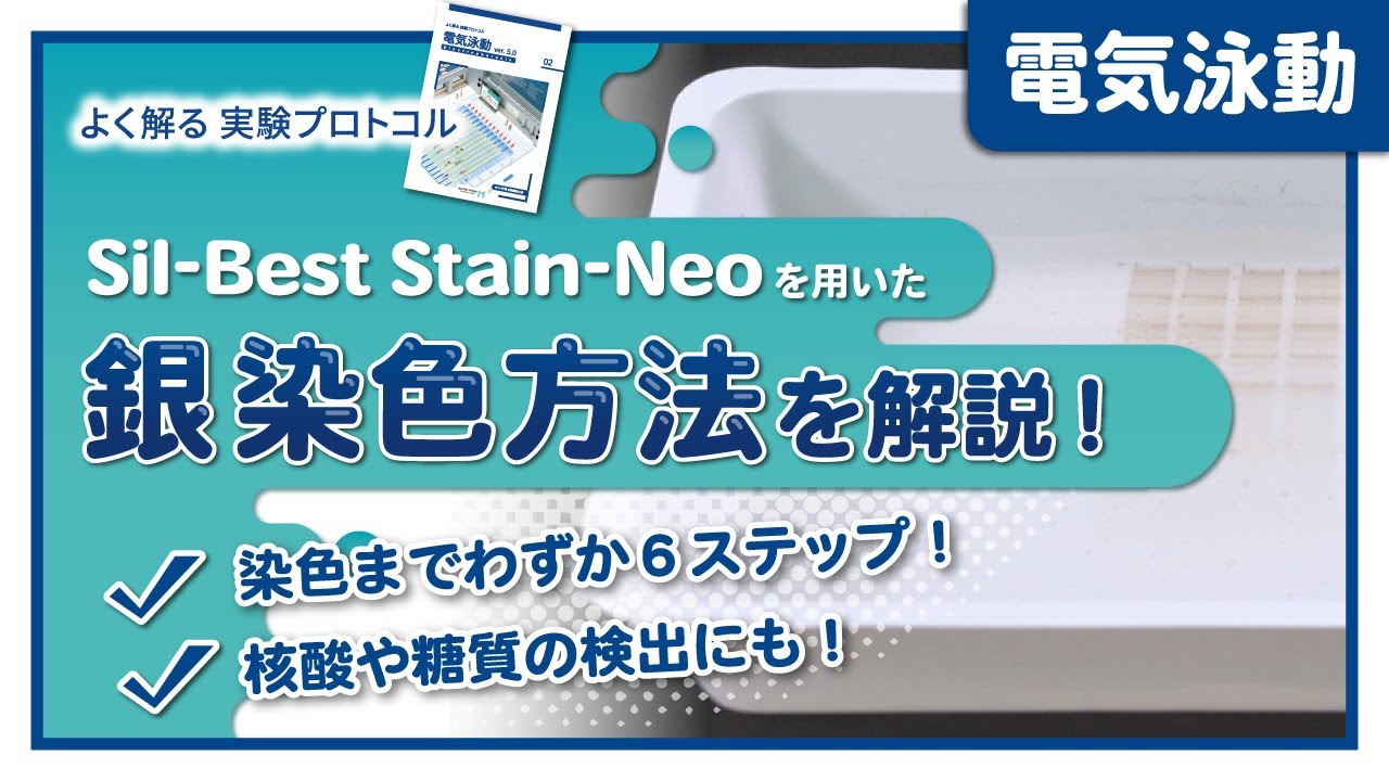 【よく解る実験プロトコル】Sil-Best Stain-Neoを用いた銀染色