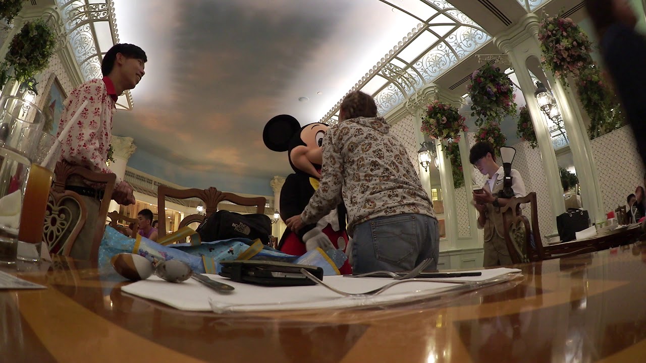 HKDL Summer 2018 final goodbyes to Mickey at enchanted Garden