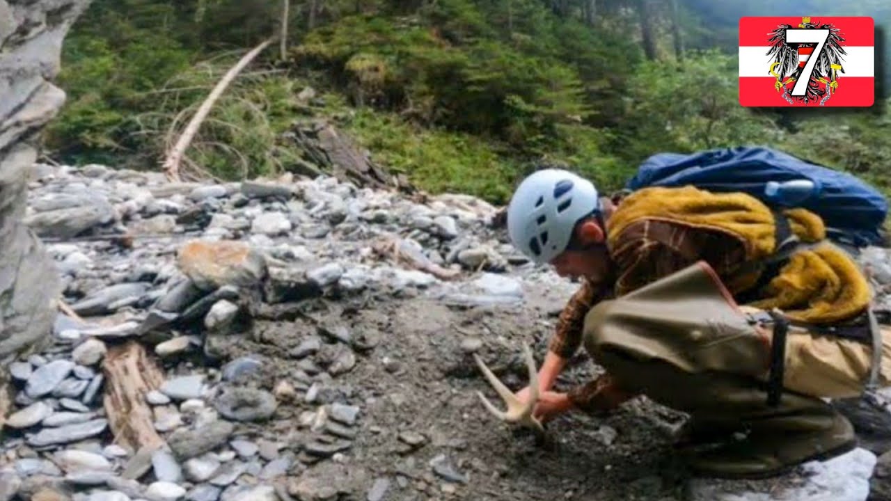 Pensavo fosse un ramo. Era un cervo sepolto in torrente
