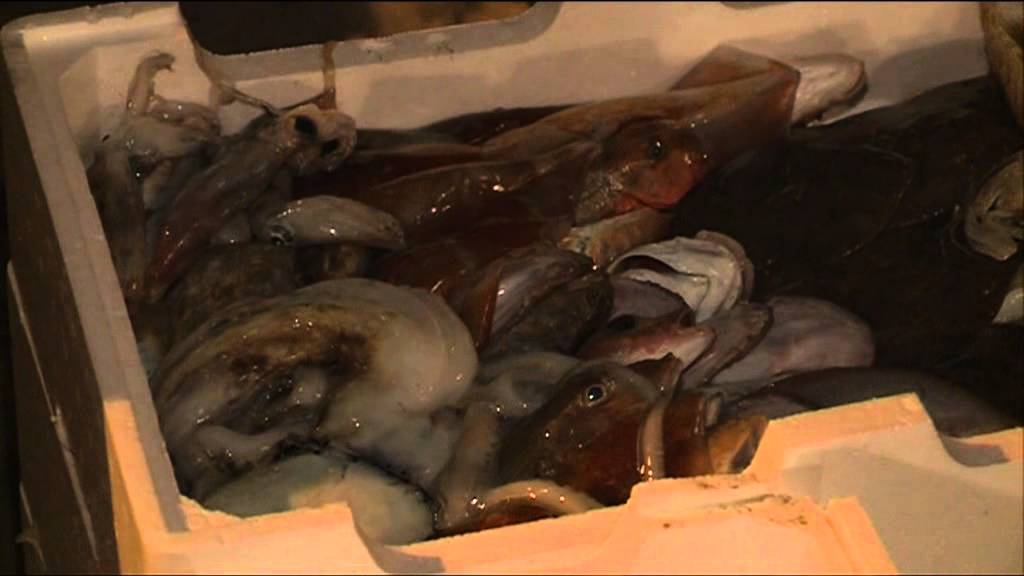 Marineria Pescara multata si ribella