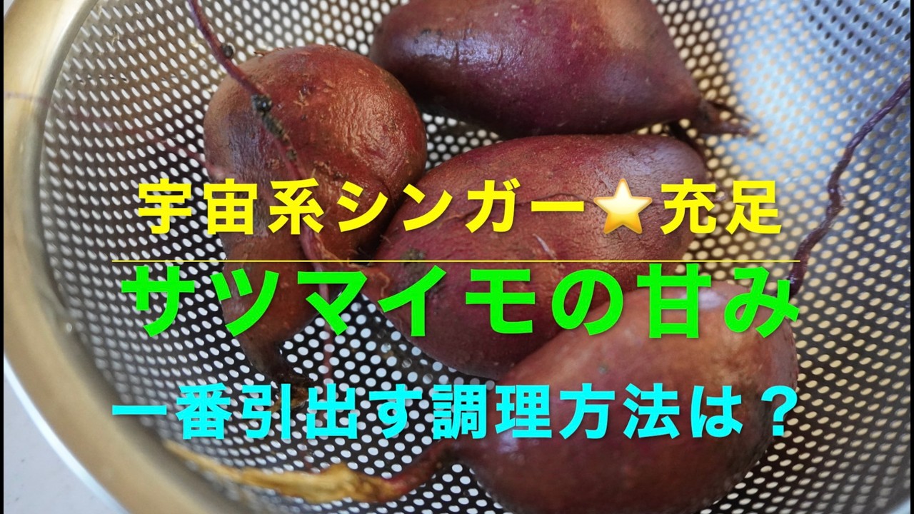 宇宙系シンガー⭐️充足　サツマイモ🍠の甘み　一番引き出す調理方法は？　我家の無肥料無農薬畑で収穫したサツマイモ、その天然の甘みを一番引き出す調理法を探るべく４つの調理方法で実験し糖度を比べたら…