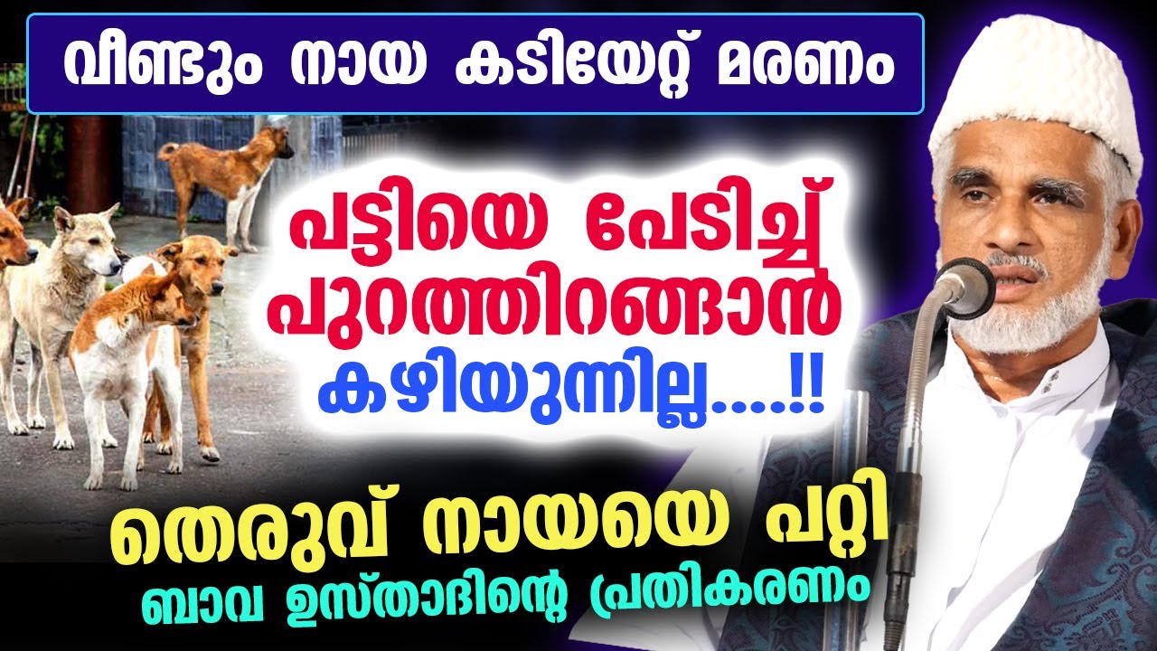 പട്ടിയെ പേടിച്ച് പുറത്തിറങ്ങാൻ കഴിയുന്നില്ല....!! തെരുവ് നായയെ പറ്റി ഉസ്താദ് | Stray Dog Attack New