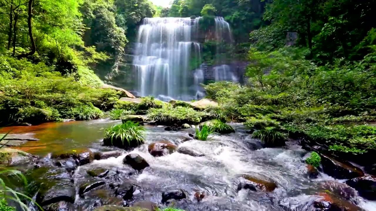 Peaceful Stream & Forest River Flow / Deep Relaxation 