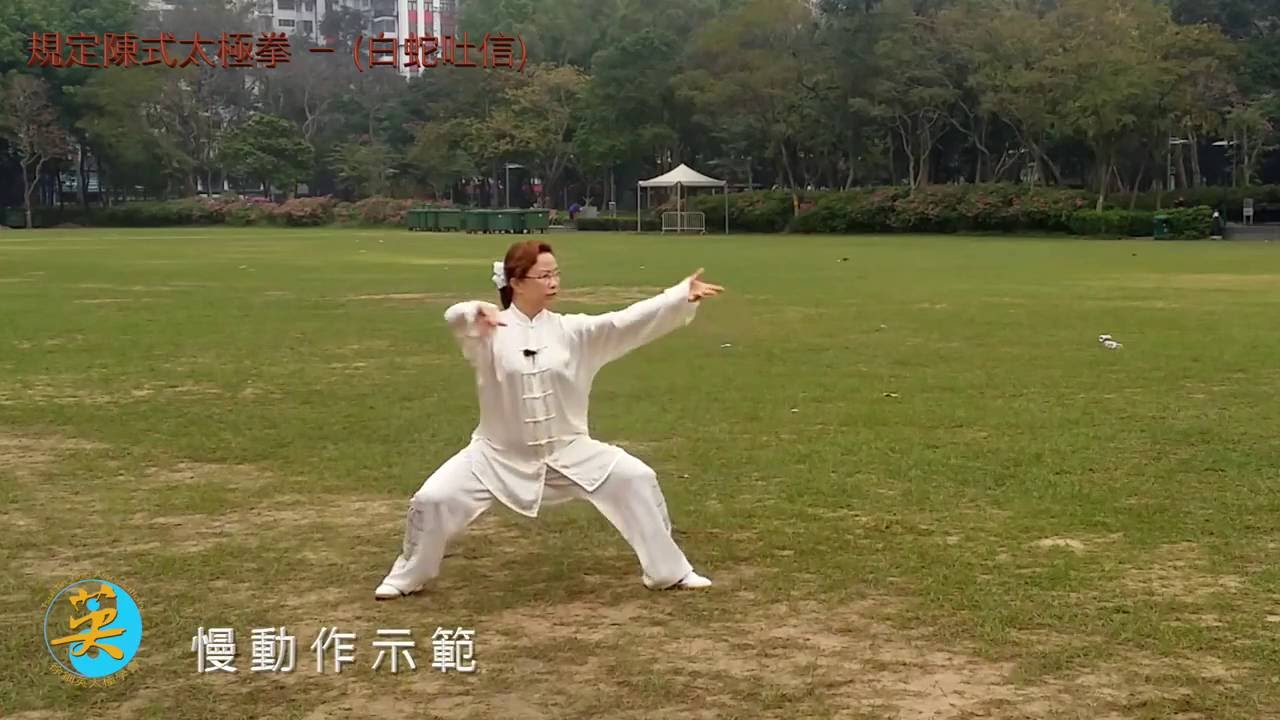 網上教學 規定陳式太極拳 第四節 18式 白蛇吐信・Online Teaching New provisions Chen Style Taijiquan