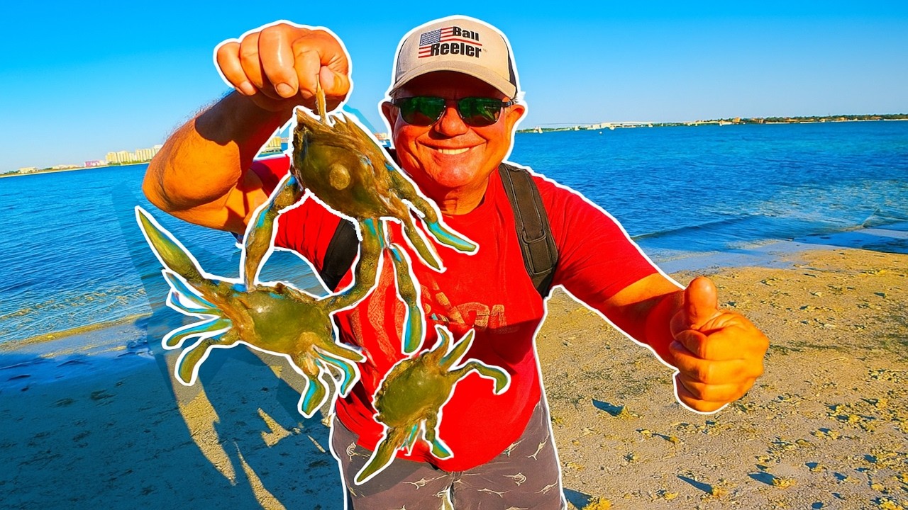 Ловите синих крабов легко (Florida Flats Catch & Cook)
