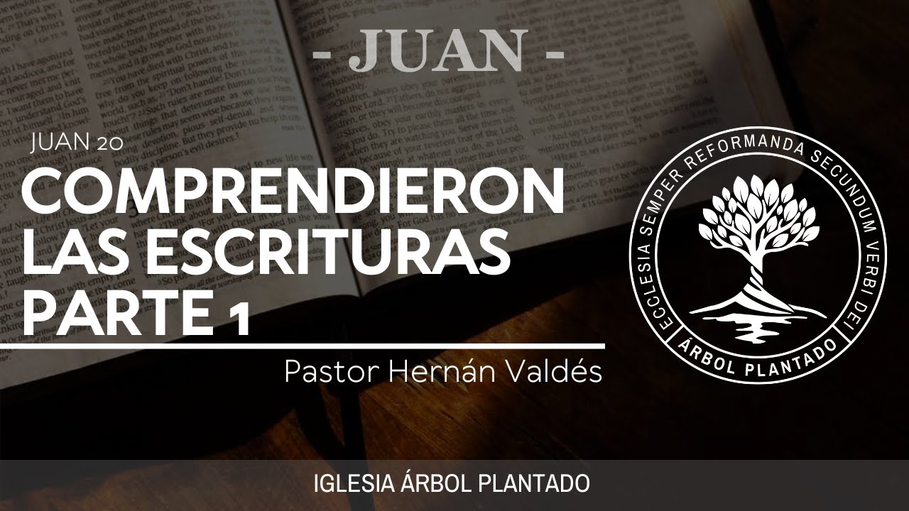 36 - Comprendieron las escrituras - parte 1 ( Juan 20 )