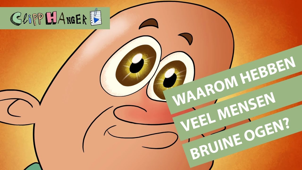 Waarom hebben de meeste mensen bruine ogen?