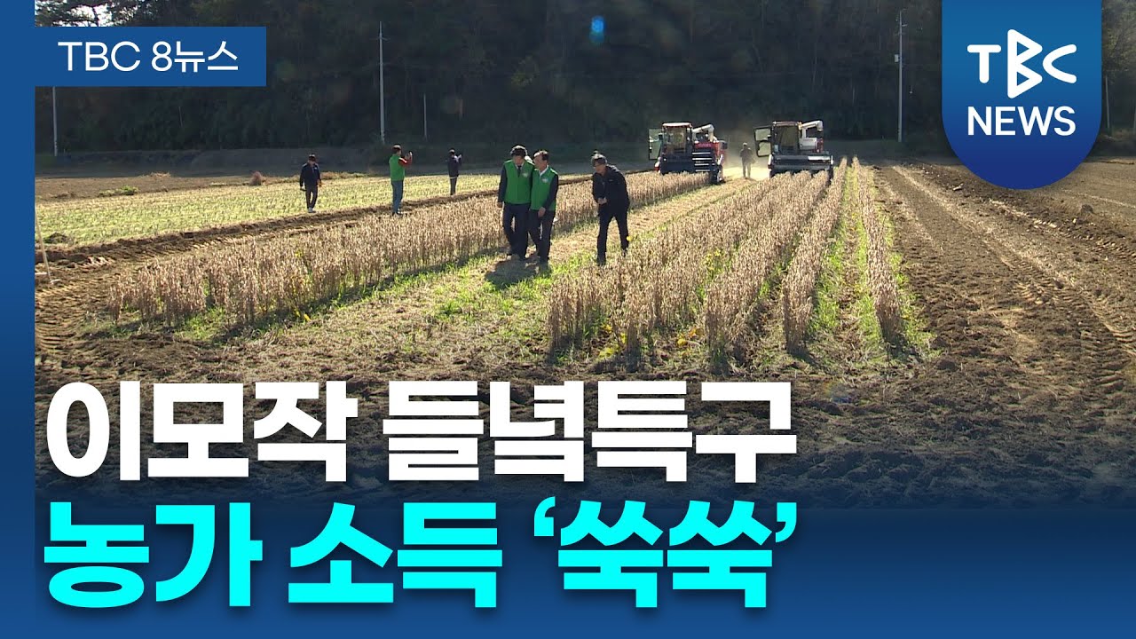 대세는 이모작, 울진 ‘들녘특구’로 소득 ‘쑥쑥’ㅣTBC뉴스