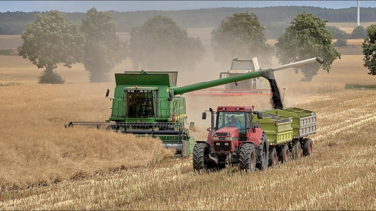 Żniwa rzepakowe w lubuskim. #claas #lexion 670 #johndeere  9680i John Deere 2266