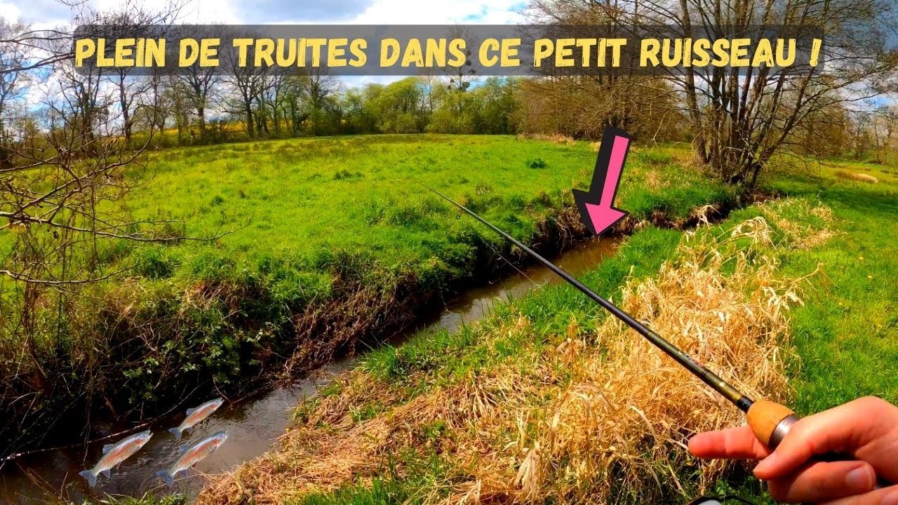 JE DÉCOUVRE UN PETIT RUISSEAU PLEIN DE TRUITES !