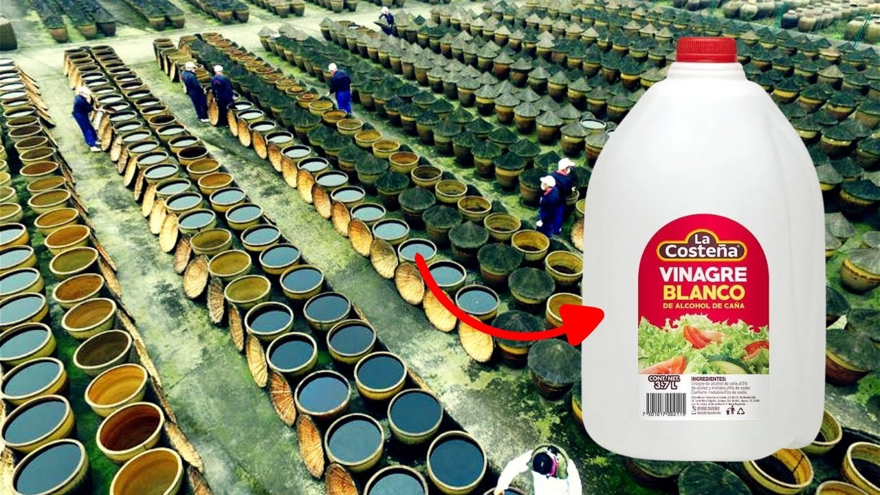 Vinagre: Cómo se Produce uno de los Ingredientes Más Usados del Mundo