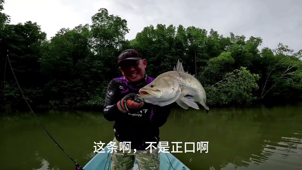 鱼乐族 Vlog 