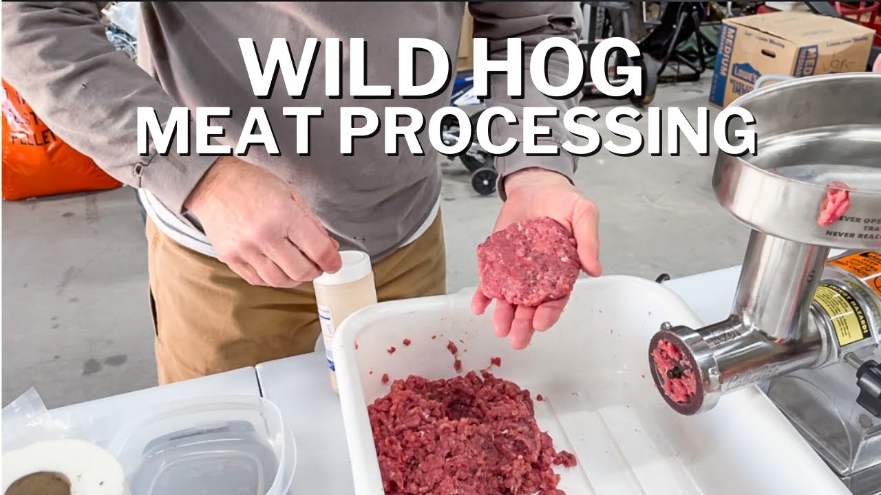 WILD HOG PROCESSING | CLEAN and COOK