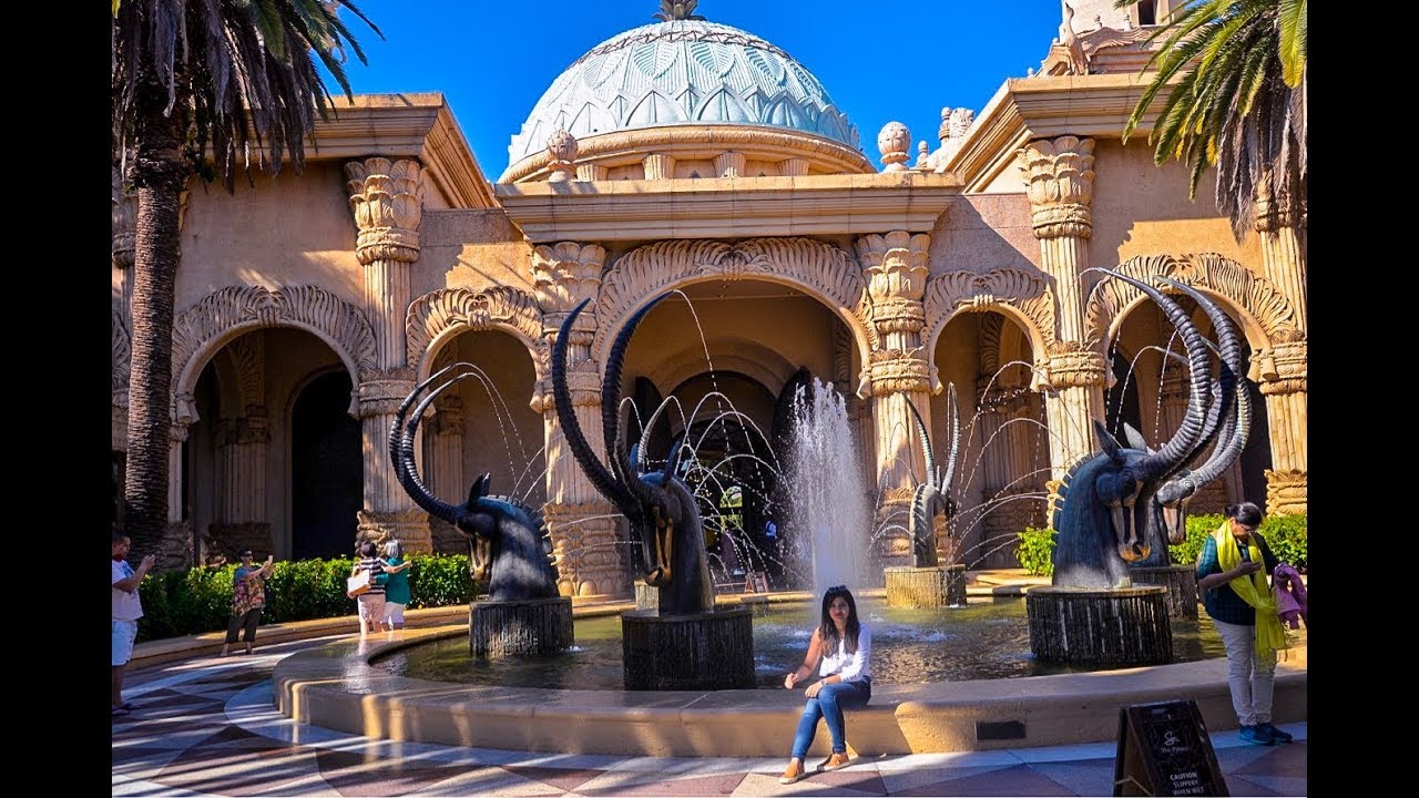 South African Jungle Safari - Sun city (The Palace Hotel)