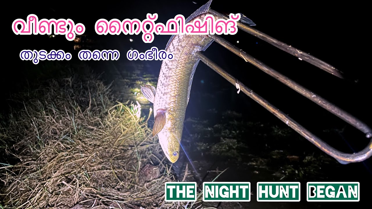രാത്രി മീൻപിടുത്തം തുടങ്ങി . തുടക്കം തന്നെ സൂപ്പർ