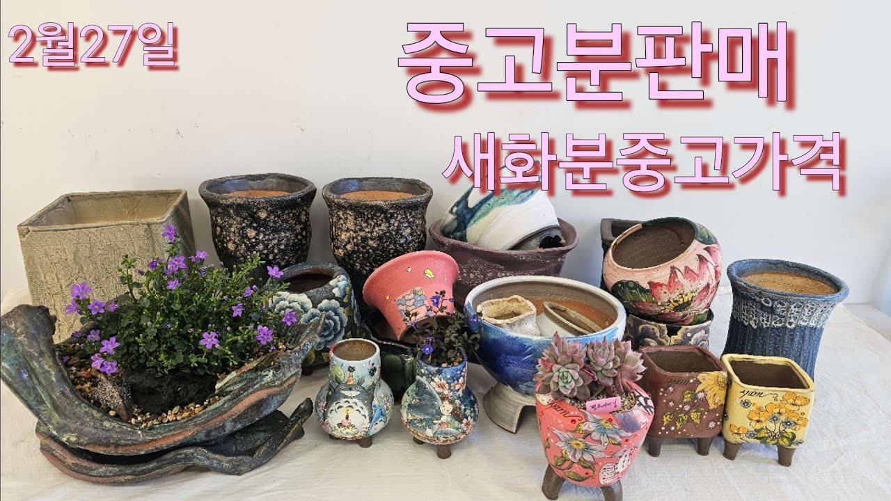 2월27일 #토끼네화분 #중고분#담쟁이분 