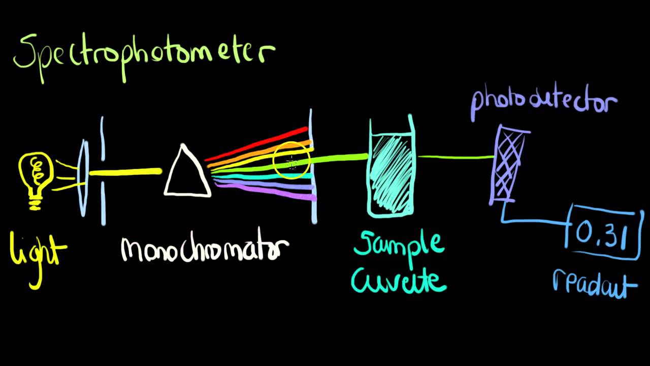 ClinChem: basic spectrophotometer