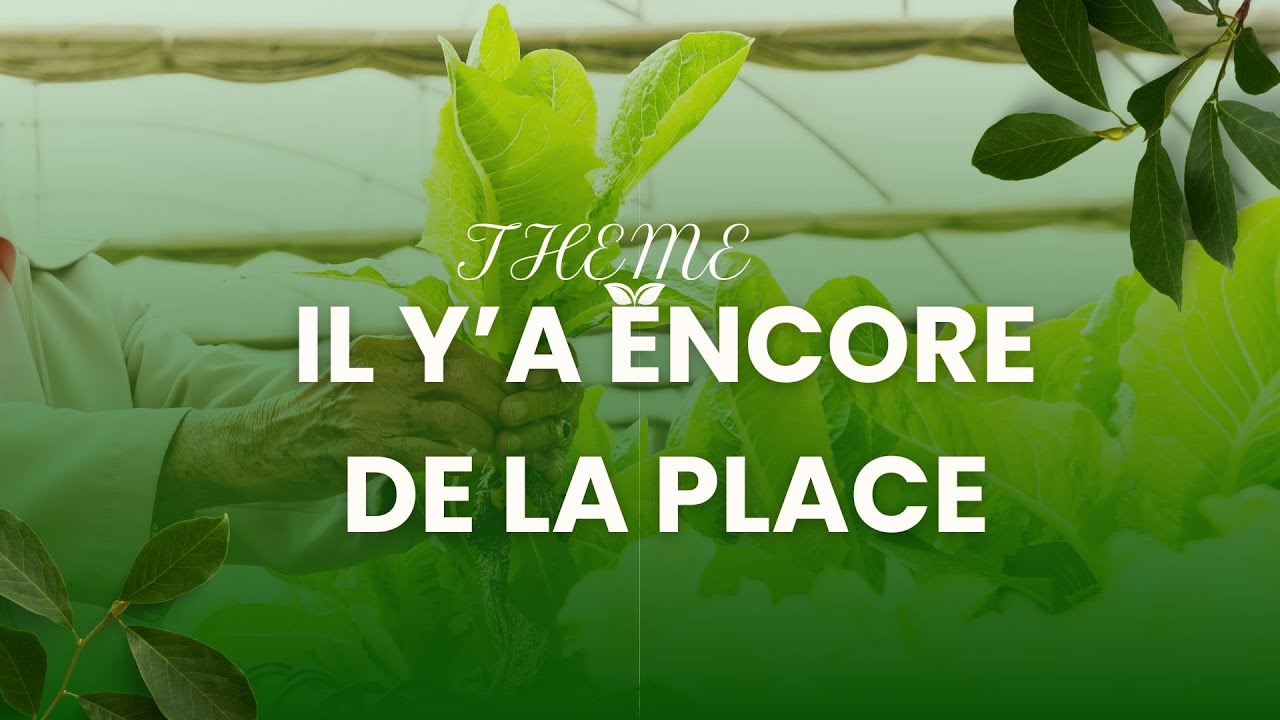 IL Y'A ENCORE DE LA PLACE/ PAST FLORY NATHAN VUETTE