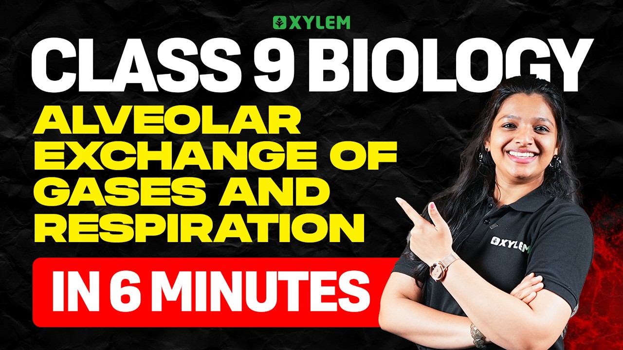 Class 9 Biology | Alveolar Exchange of Gases and Respiration In 6 Minutes | Xylem Class 9