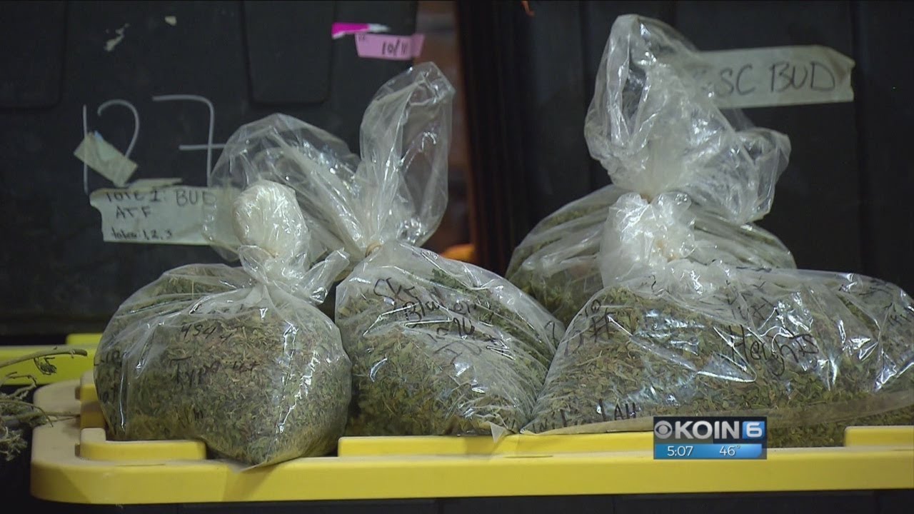 $1M heist: &lsquo;They were carrying weed out with a cop here&rsquo;