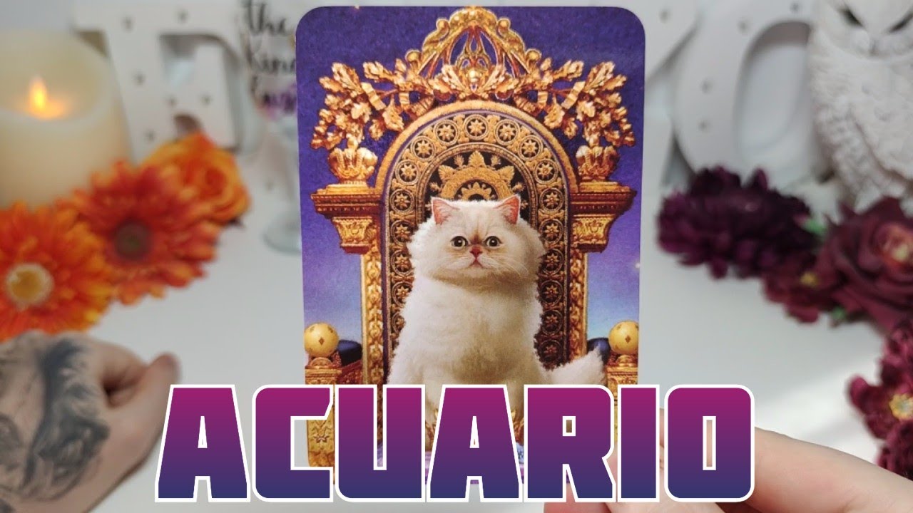 ACUARIO ♒️ SE VA A CAER TU MUNDO CUANDO SEPAS ESTO EL VIERNES 30😳✨ HOROSCOPO #ACUARIO HOY TAROT AMOR