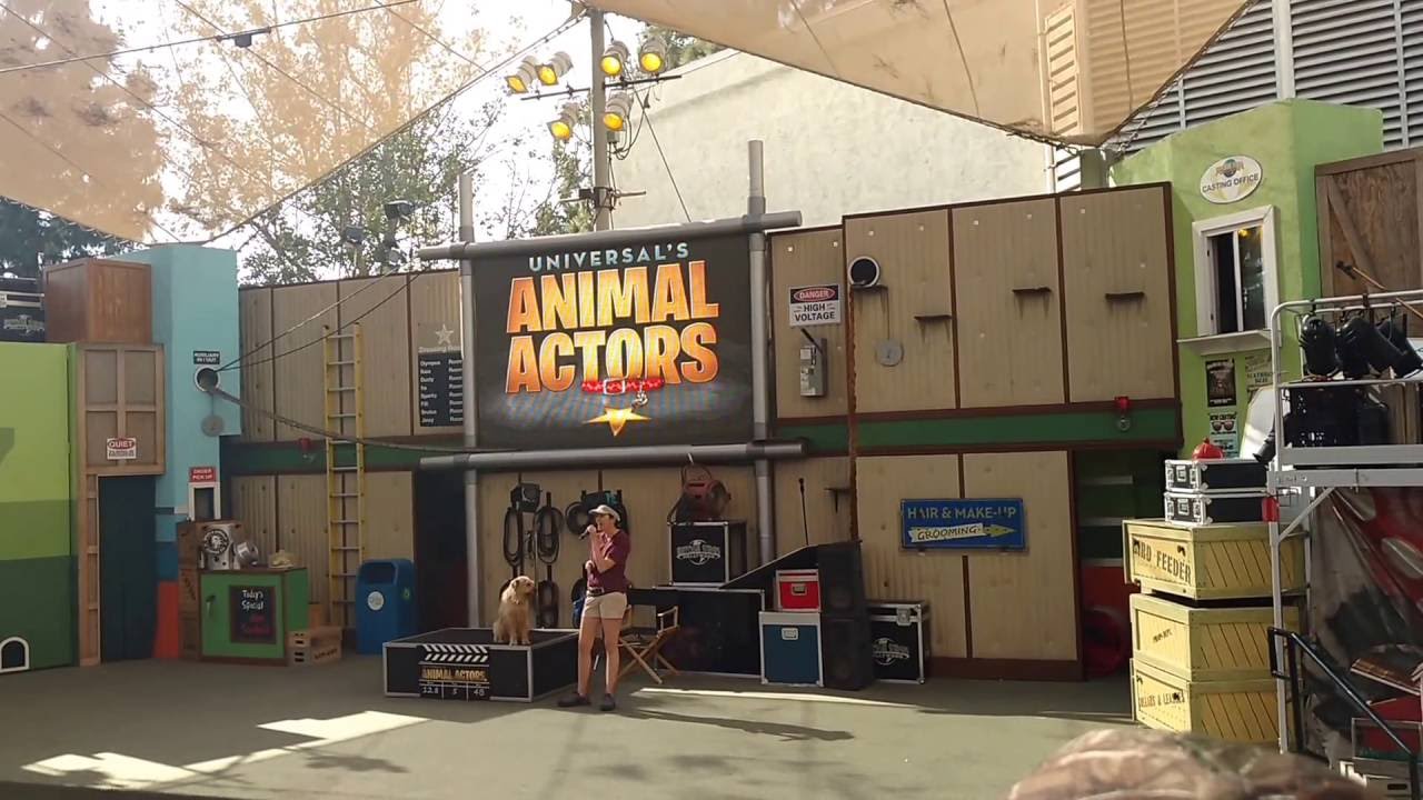 Animal Actors Show at Universal Studios Hollywood  | June 2016