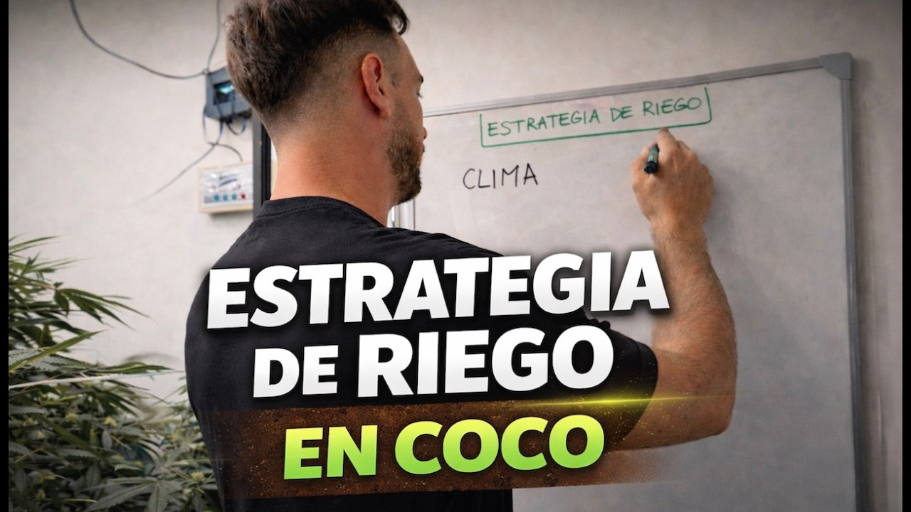 Crop Steering en Coco: Estrategia avanzada de riego