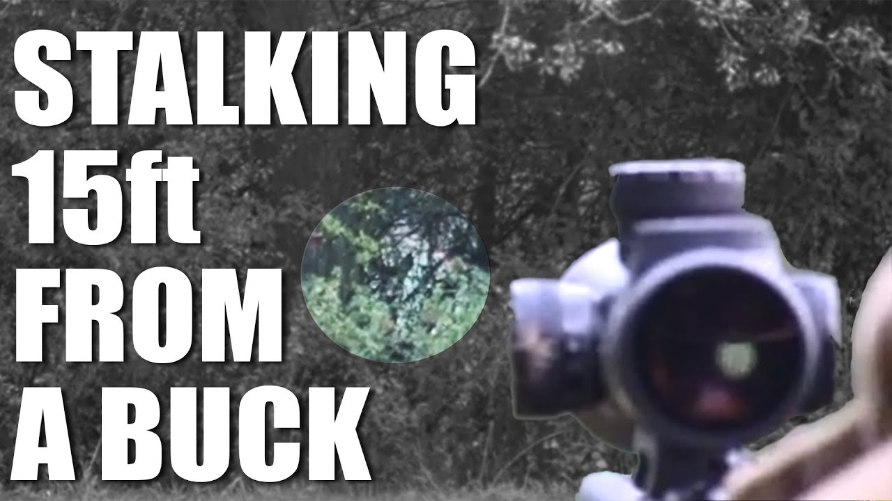 Stalking 15ft from a buck