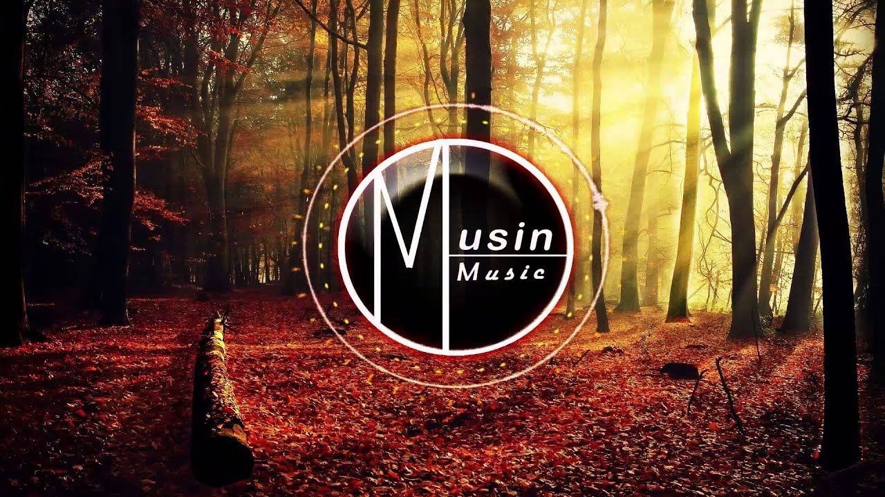 Party Thieves*ATLiens - Chief**Musin Remix**