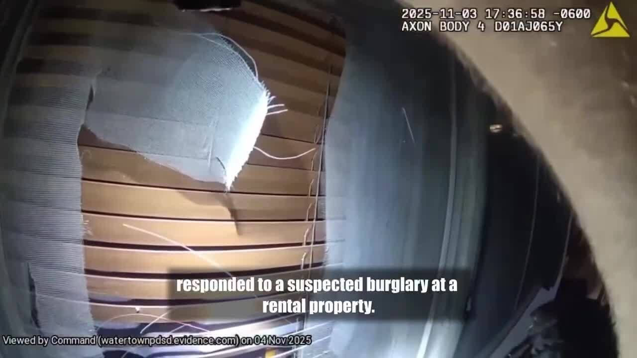 WATCH: Watertown Police find deer in home