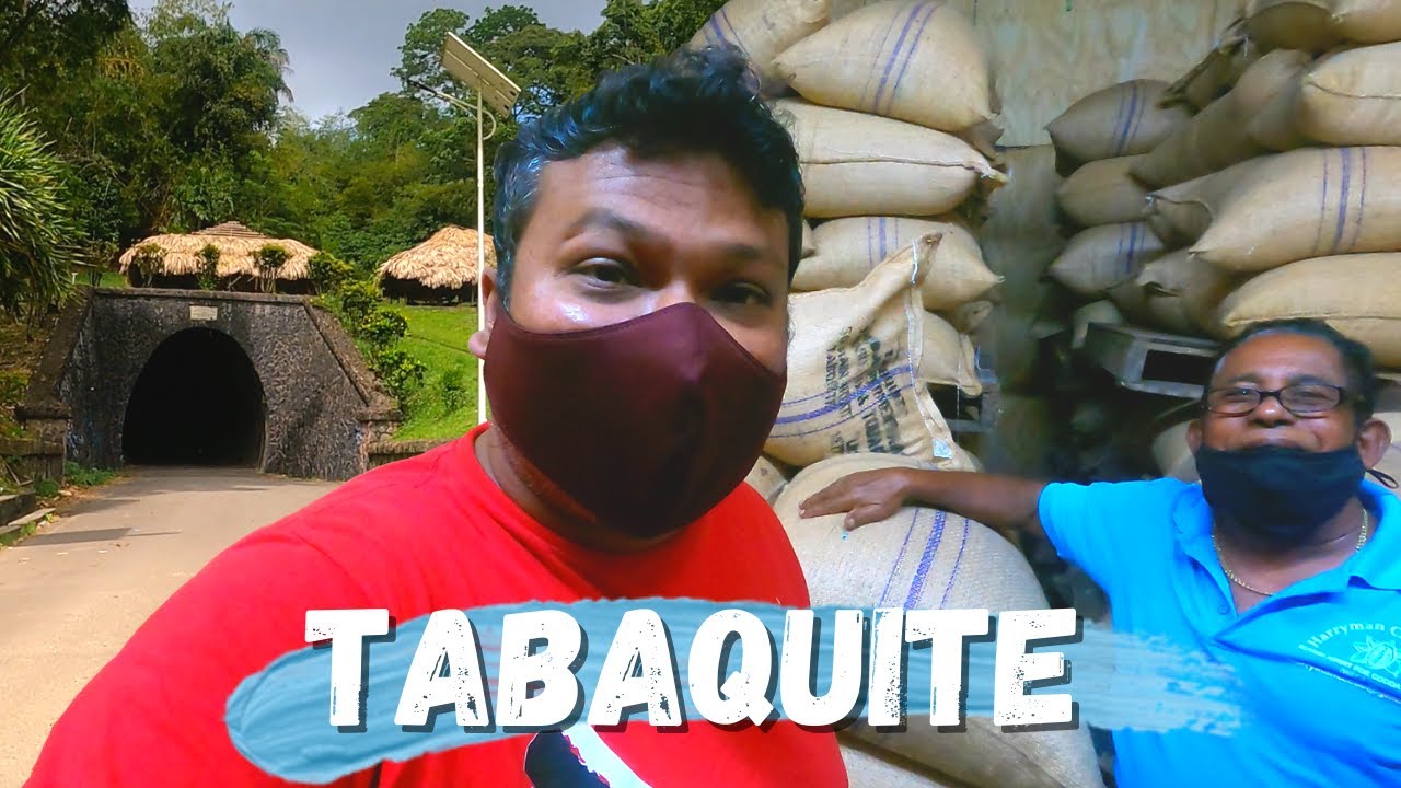 Touring Tabaquite Cocoa Fermentary and a visit to Knolly's Tunnel in Central Trinidad