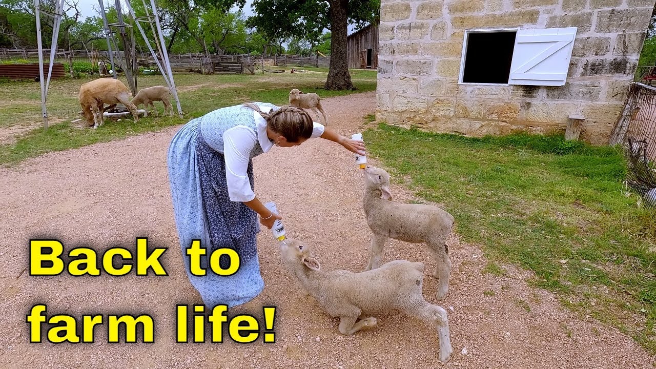 Teaching farm history in Texas