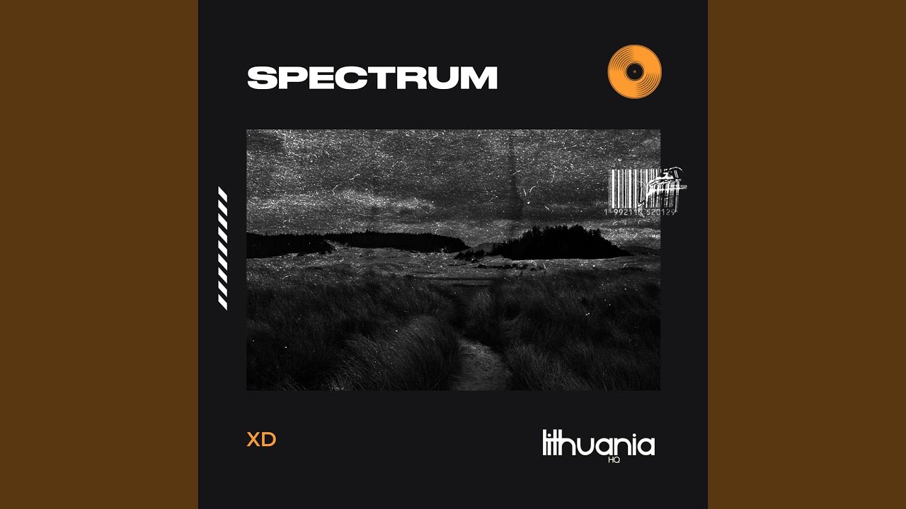Spectrum (Say My Name)