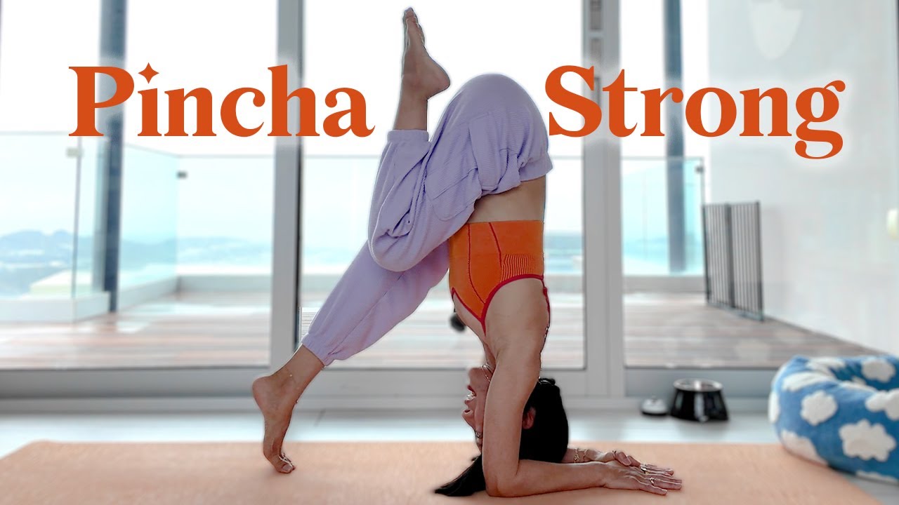 Pincha Mayurasana Strong ✦ Forearms Strengthening Yoga Workout For Beginners, Advanced, All Levels